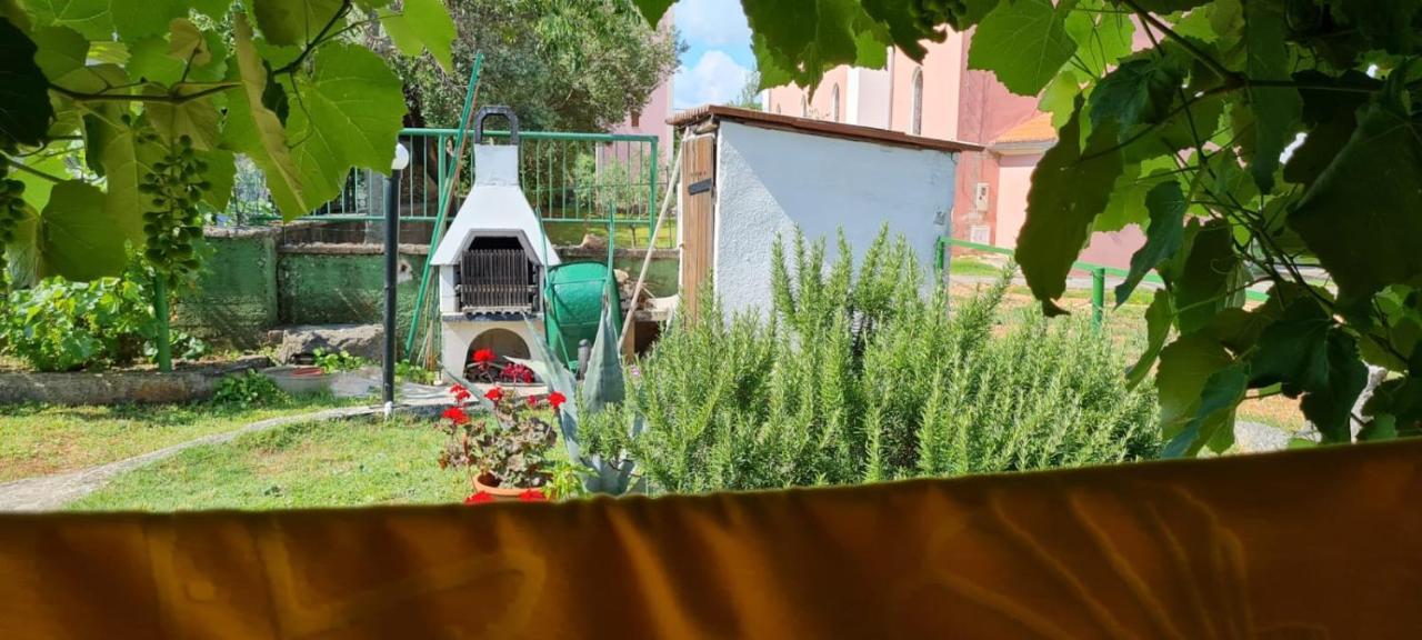 Apartmani Centar Seline Paklenica Zewnętrze zdjęcie