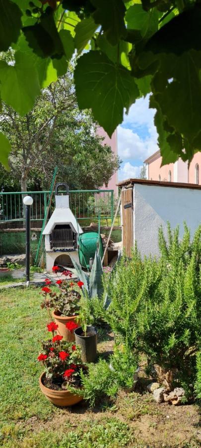 Apartmani Centar Seline Paklenica Zewnętrze zdjęcie